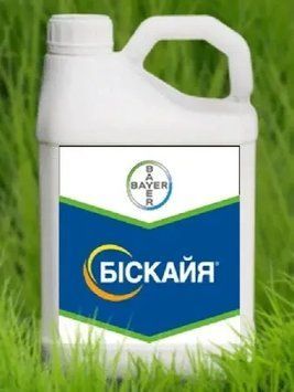 Інсектицид Біская 240 о. д. 5л. 2604427460 фото