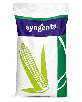 Сингента Премео ФАО-360 Гібрид Кукурудзи (Syngenta)  1684989913 фото